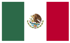 Mexico flag - Apache Iron Works Mexico dealers
